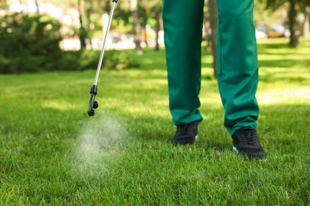 Best Wasp Removal Services  in Odenton, MD